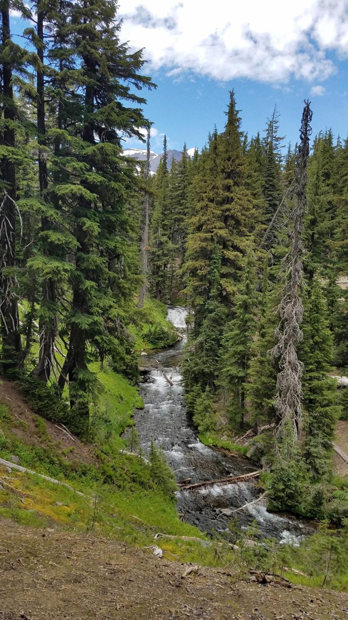 Mt. Bachelor & Sun River Get Away Bend Eksteriør billede